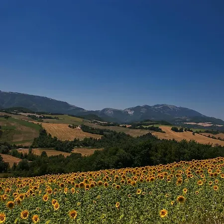 Appartement Glicine 4 Cagli